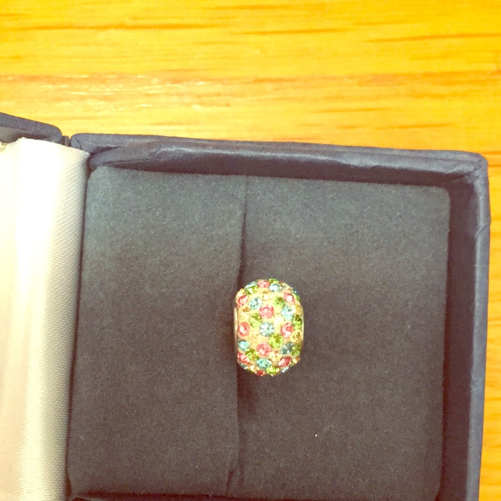Kay Jewelers Charmed Memories Spring Crystal Charm